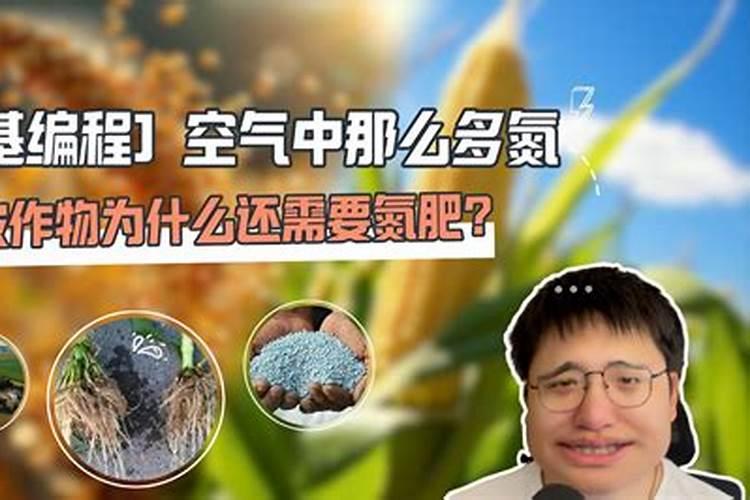 氮肥的我国发展