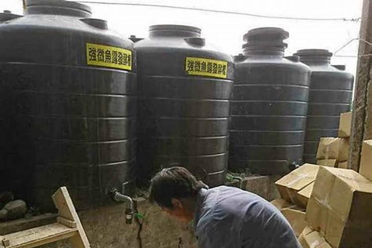 如何发酵鸡粪肥水养虾