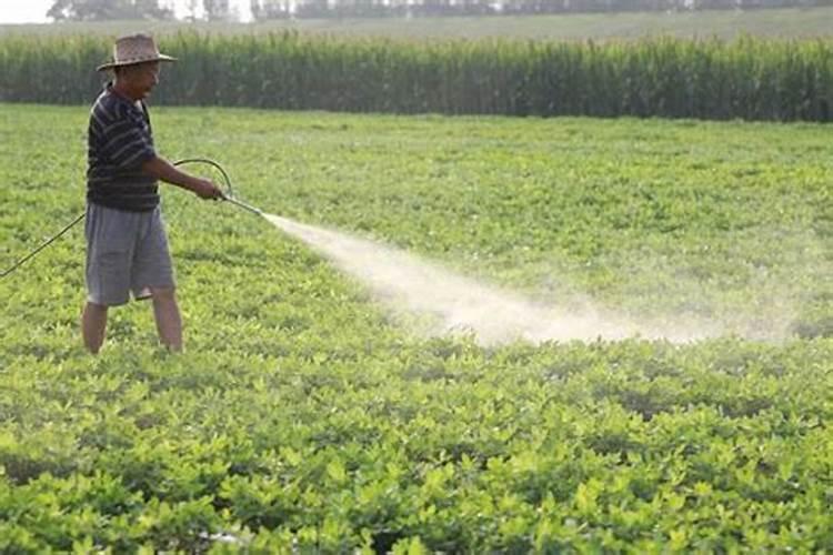 控旺药 微量元素的害处