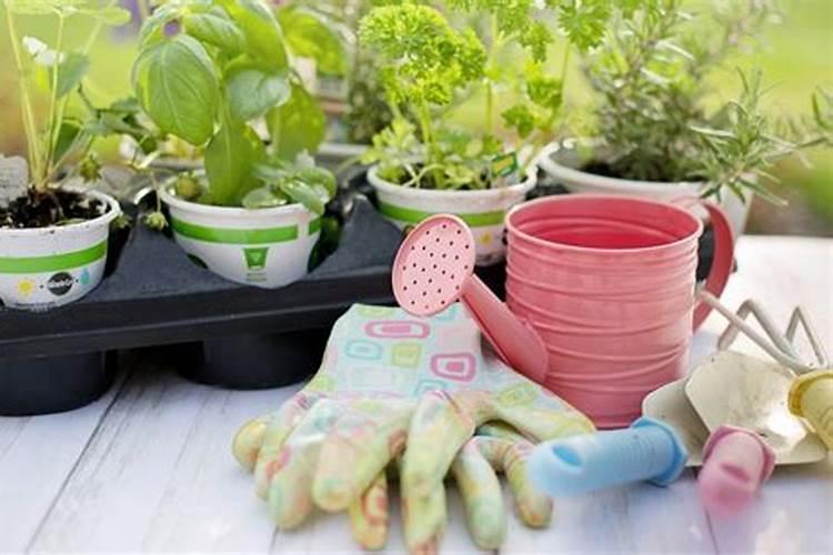 养花的氮肥有哪些 哪几种最常用