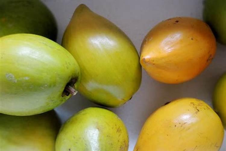 什么是生化黄腐酸钾