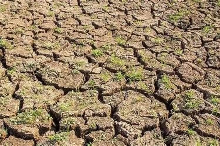 水溶肥做底肥用量