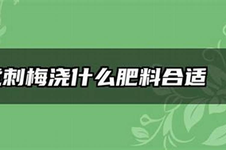 刺梅怎么施肥施多少