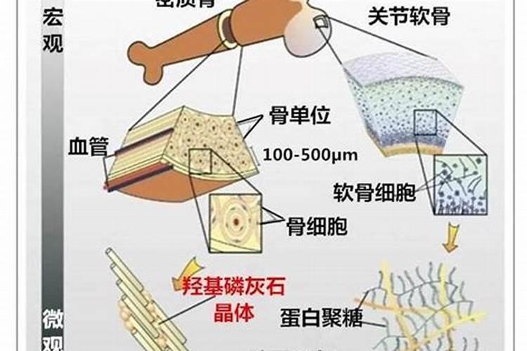 复合化肥复合肥施用方法
