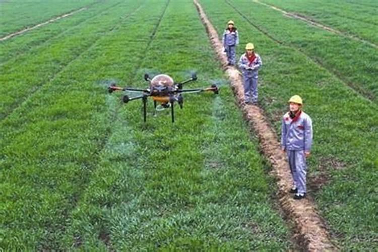 叶面肥料一般在什么时候使用(叶面肥在什么时间喷效果好)