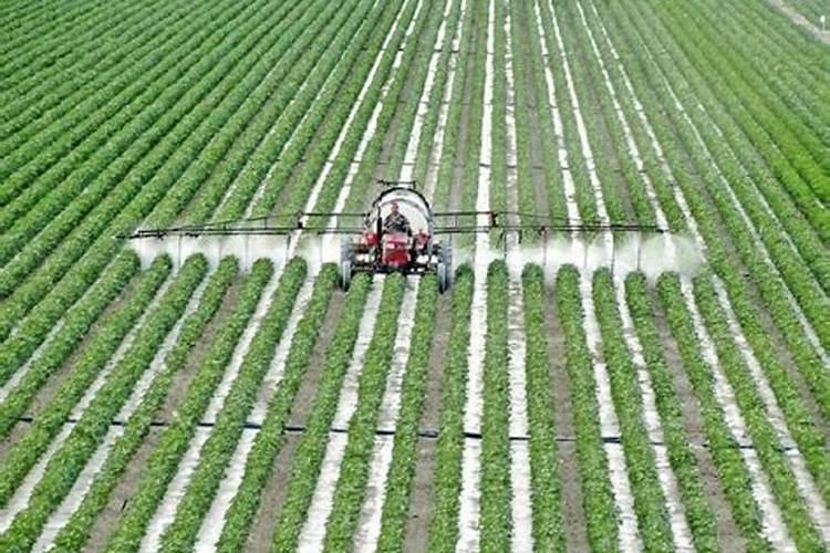 叶面肥什么时候打合适