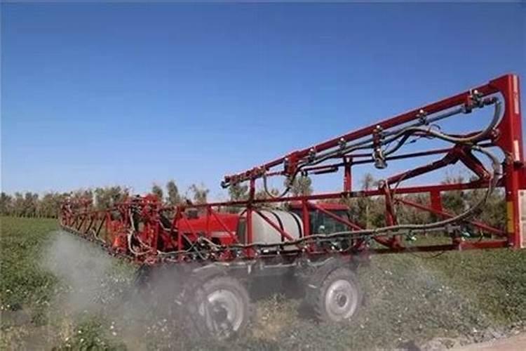 叶面肥什么时候打合适