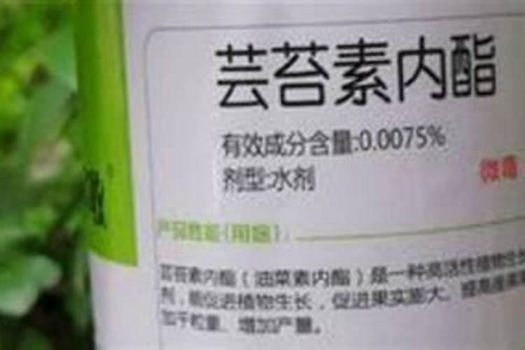 100斤麦种用多少芸苔素拌种 芸苔素如何使用