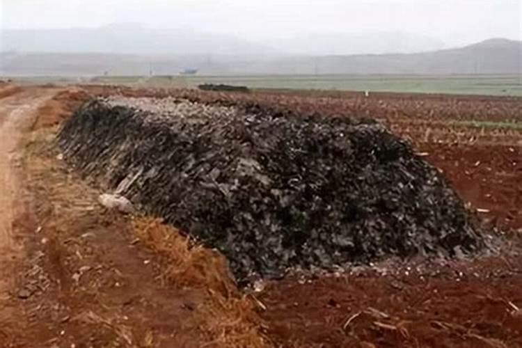 枯树叶怎样发酵成肥料？