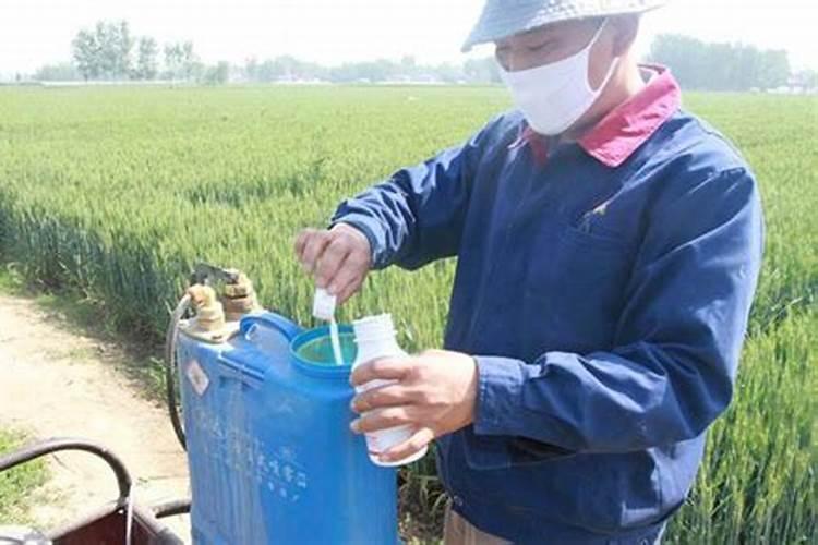 杀菌剂杀虫剂叶面肥混配顺序