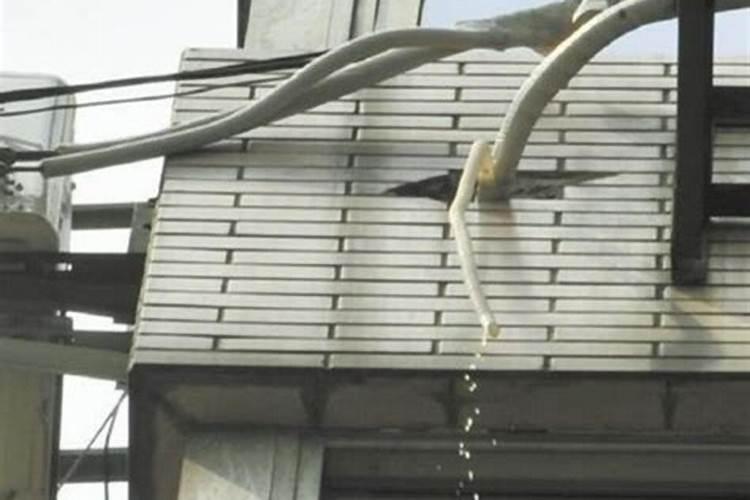 空调流出的水有没有作为肥料水使用的价值