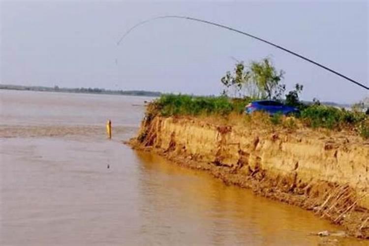 九里香砍头能不能发芽