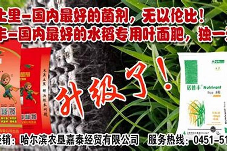橡胶树施什么肥才有多胶水？