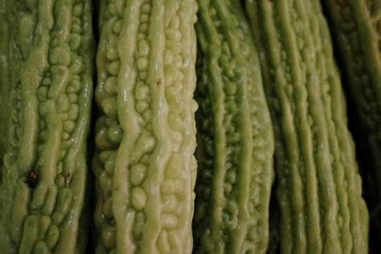 矿源黄腐酸钾对作物有什么作用？苦瓜幼苗期使用矿源多少用量合适百度...