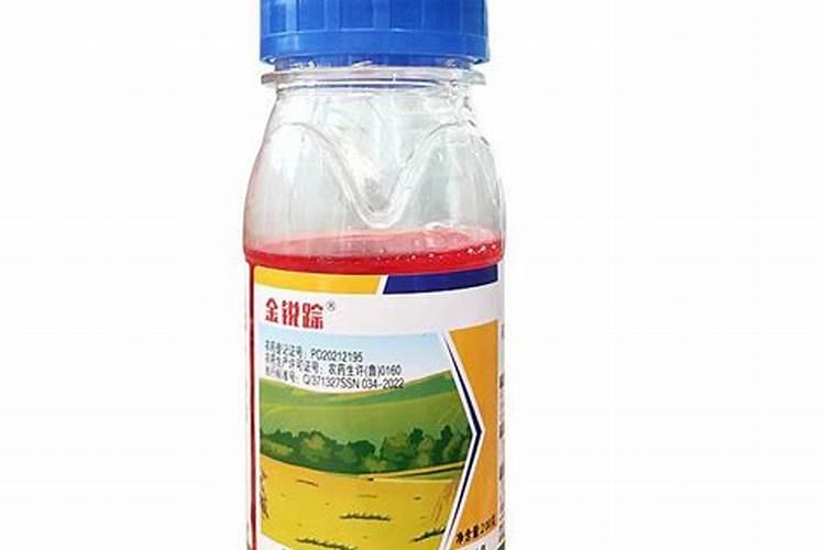 文竹施什么肥料好,施肥可以用速效复合肥吗