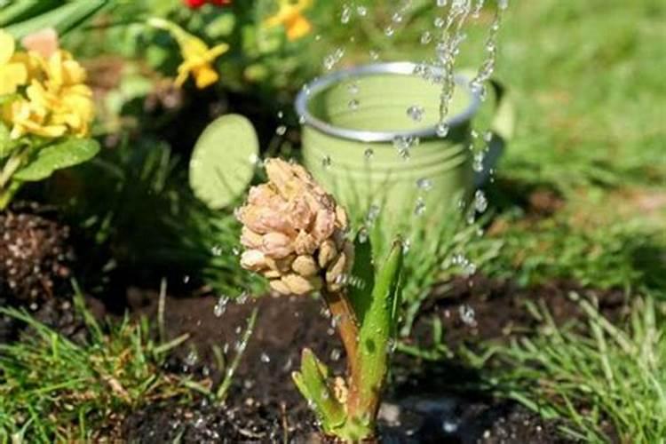 雨水节气的农事安排