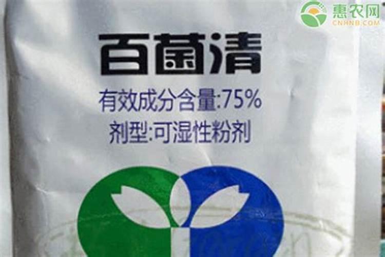 磷钾肥选什么肥料好