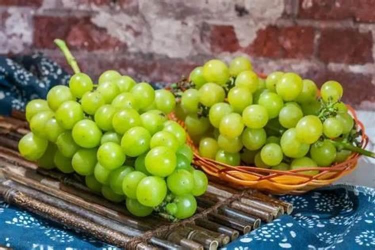 阳光玫瑰采摘前如何增甜呢