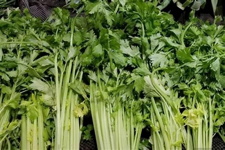 芹菜怎么不放盐也有咸味