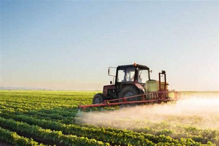 磷酸二氢钾和硼肥能一起用吗