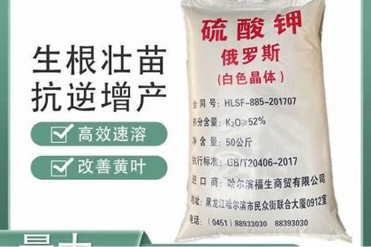 种白菜怎样上肥