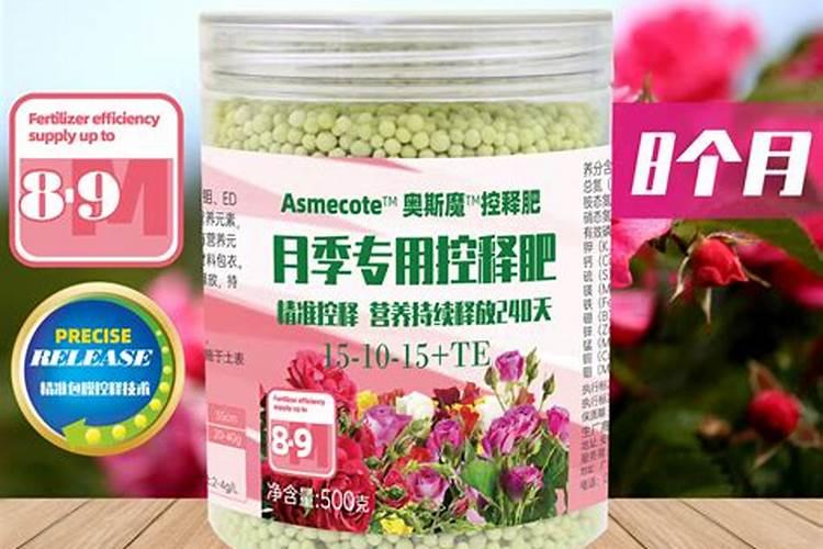 沙漠玫瑰的养殖方法和注意事项