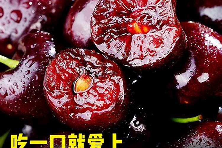 车厘子施肥时间和方法