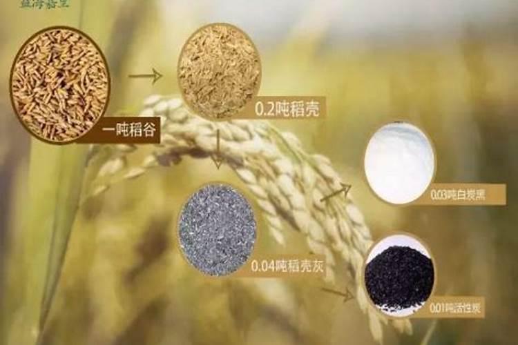 稻壳灰可以做肥料吗