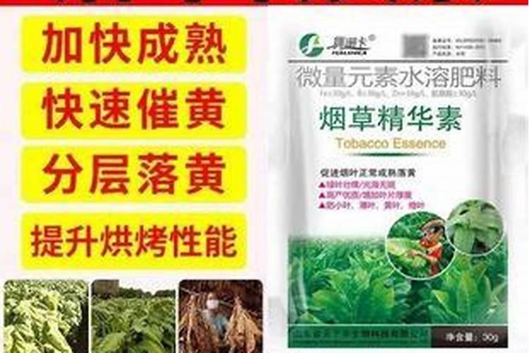 打完叶面肥多久可以打除草剂