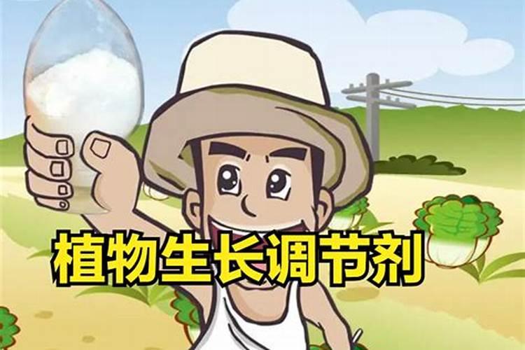 如何识别有农药残留农药激素催长过的蔬菜