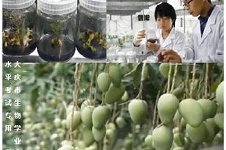 秸秆还田形式和利弊