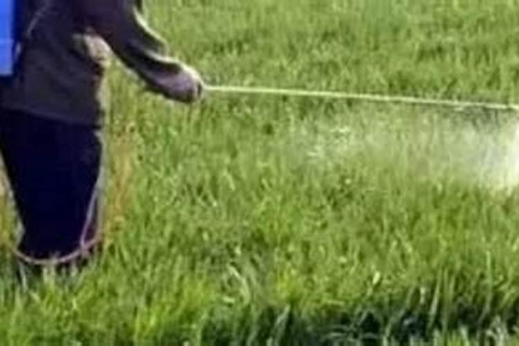 火龙果的种植条件