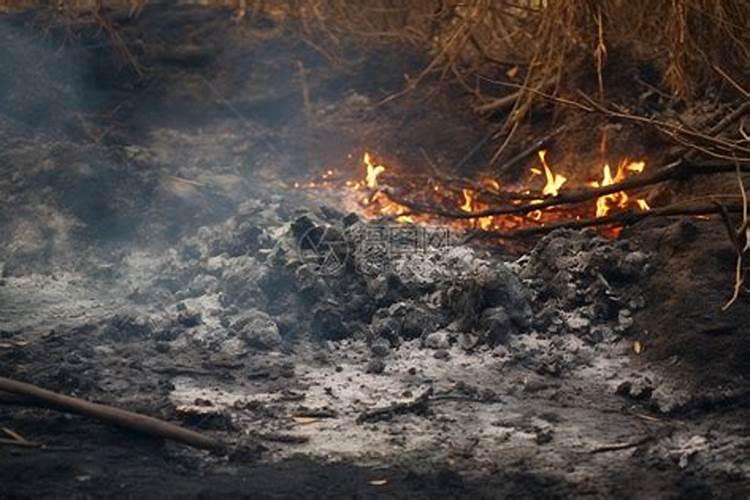 草木灰是什么烧成的 草木灰用什么草烧