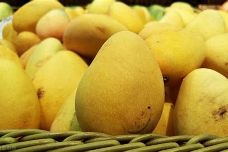 芒果树的管理关键在于营养的补充,要如何补充营养？