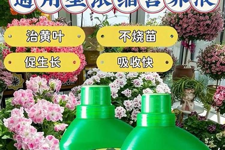 宜昌三峡果蔬交易中心地址在哪里？