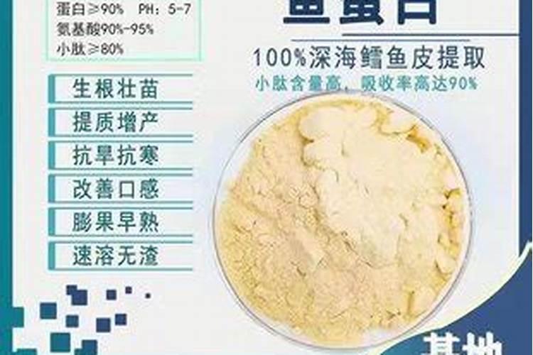 家里的菊花花蕾长了好多？要不要剪掉一点？