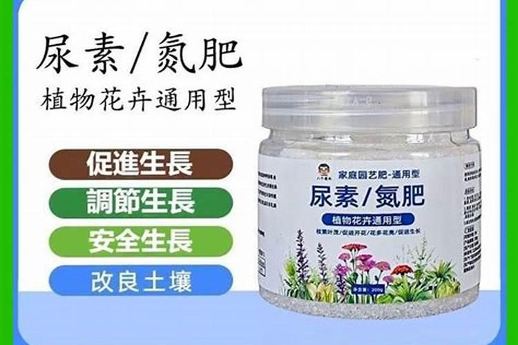 多肉多久施肥一次施什么肥