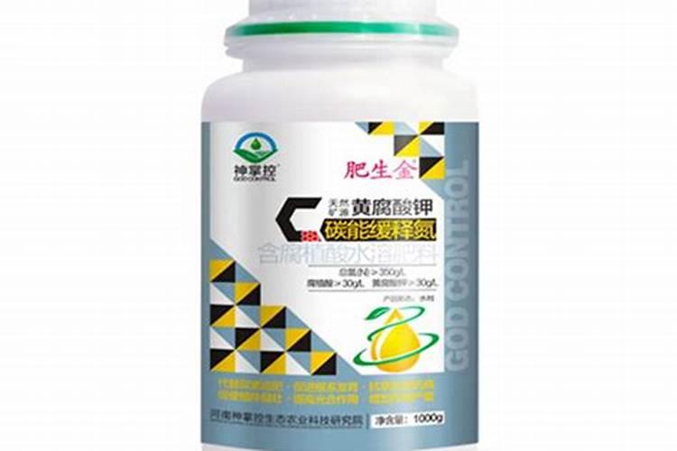 左面水稻秧苗,喷完黄腐酸钾叶面肥,5天,根系很好,根白,根多,但是也打绺...