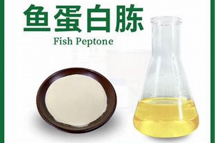 白菜可以喷施尿素吗？