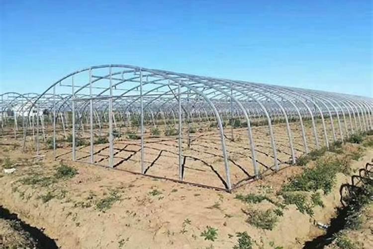 硫酸钾复合肥里面为什么含有索二尿对作物有什么影响