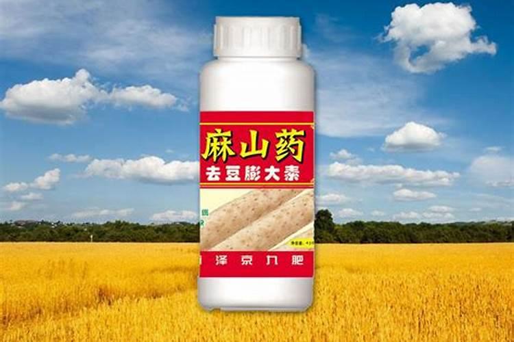 罗布泊钾肥在麻山药种植中的实际效果如何？