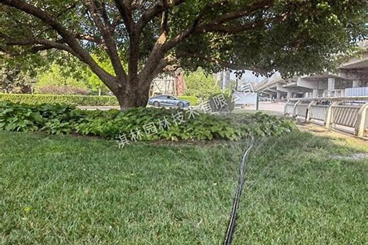 雅拉至尊水溶肥最简单三个步骤