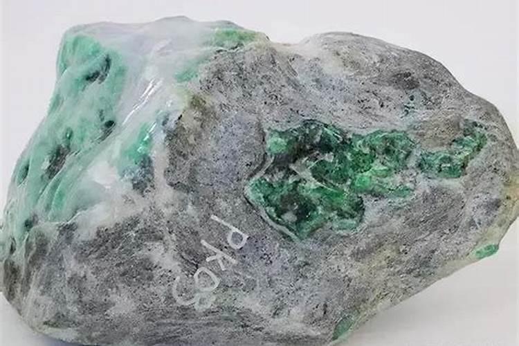 多肉植物怎么养？