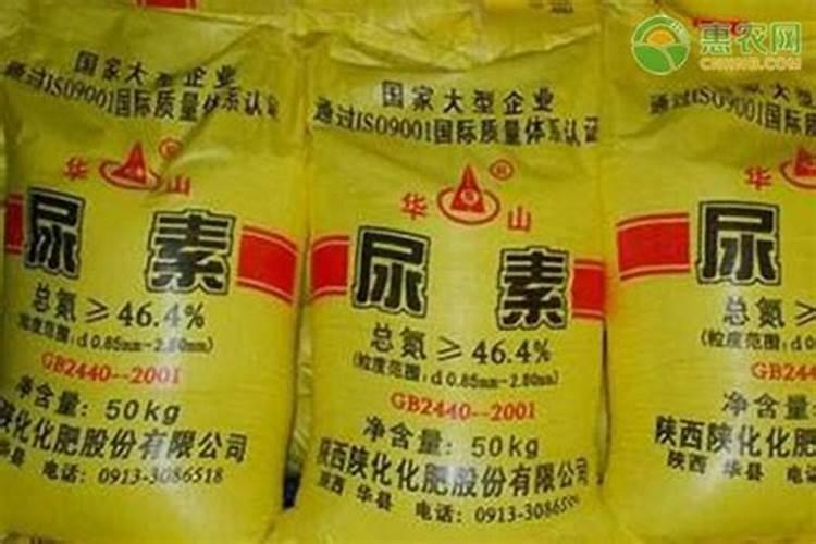 绿陇生物口碑怎么样