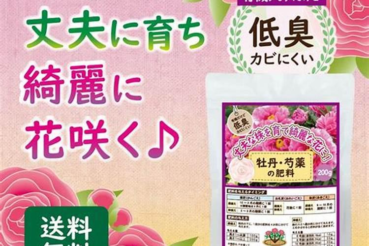 开花期间施什么肥好 开花期间可以施哪些肥