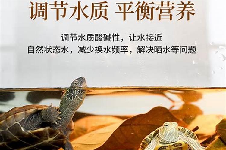 冬枣在后熟期打什么药果面变白变亮