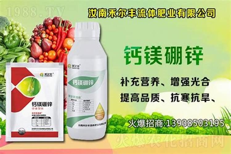 白菜多大时候喷钙镁硼肥好？