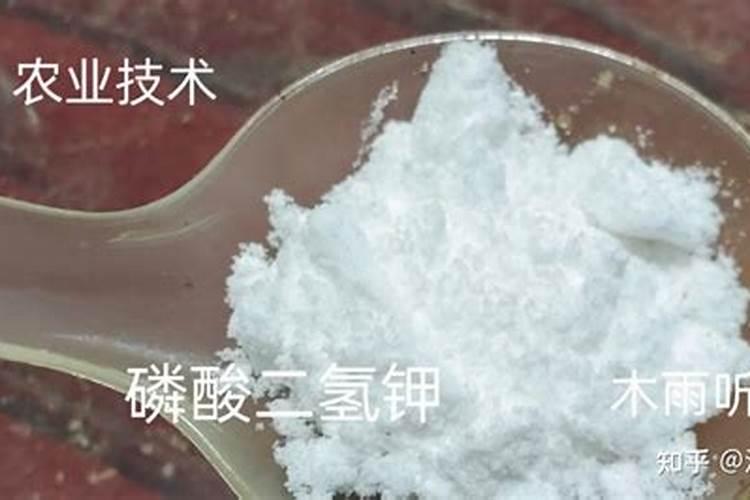 硫酸钾施杨梅树在什么时候最适合？