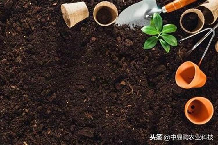 如何正确施用氮肥