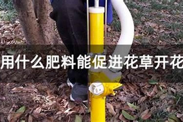 开花用什么肥料